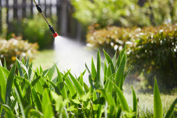 24/7 Emergency Wasp Removal experts in West Union, OH